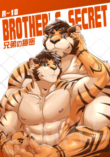 Brother’s Secret cover