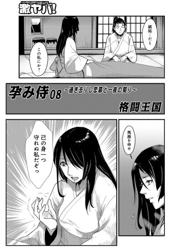 Harami samurai 08 ~Sugisarishi Renbou to Ichiya no Chigiri~ cover