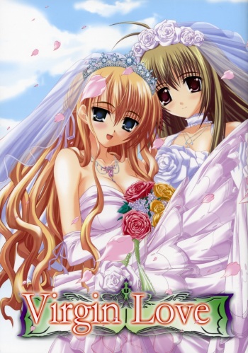 Virgin Love cover
