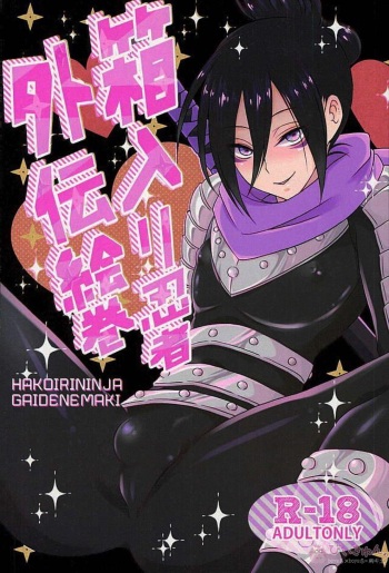 Hakoiri Ninja Gaiden Emaki cover