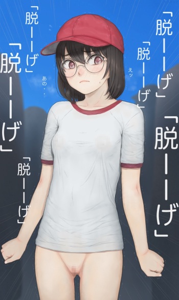 Plus Step cover