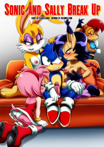 Sonic and Sally Break Up cover