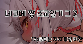 Nekome-chan Choukyou Nikki Sono 2 cover