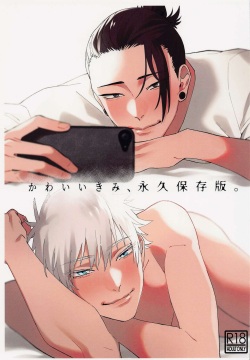 Kawaii Kimi, Eikyuu Hozonban.