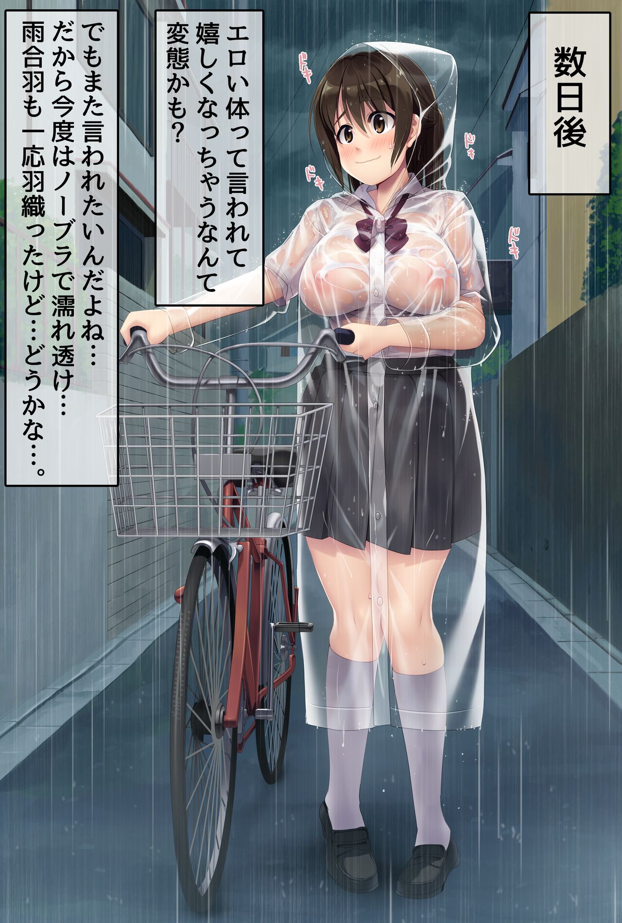 【高画質＆差分】透明レインコート露出 page 5 full
