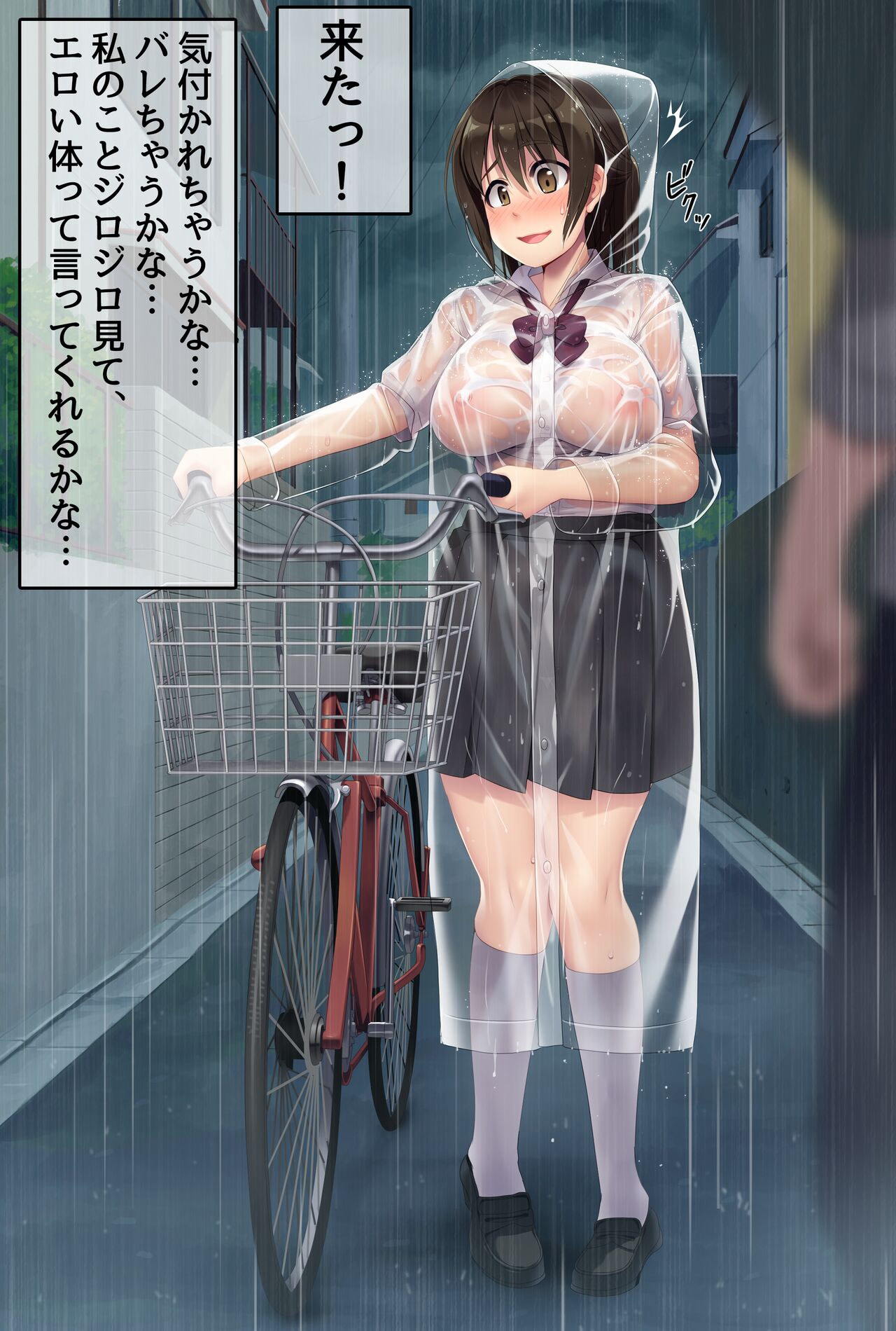 【高画質＆差分】透明レインコート露出 page 6 full
