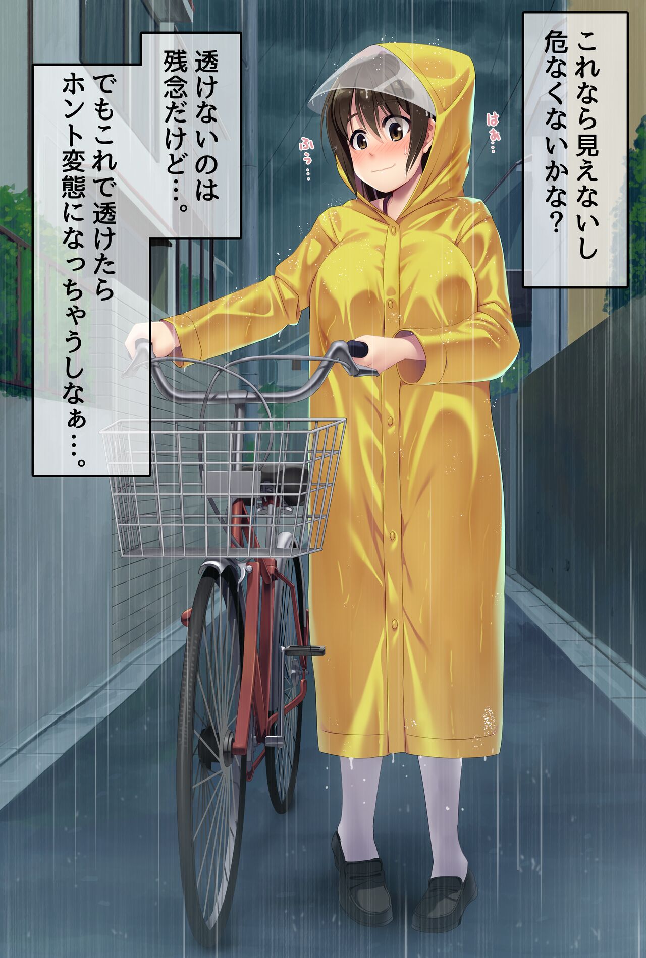 【高画質＆差分】透明レインコート露出 page 8 full