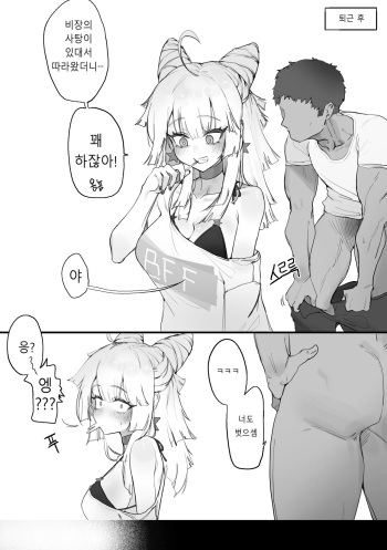 AA-12 cover