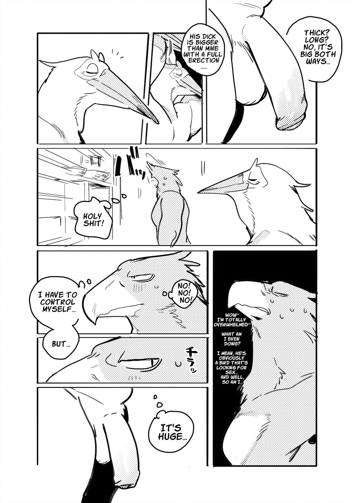 Pelican and White-tailed Eagle page 3 full