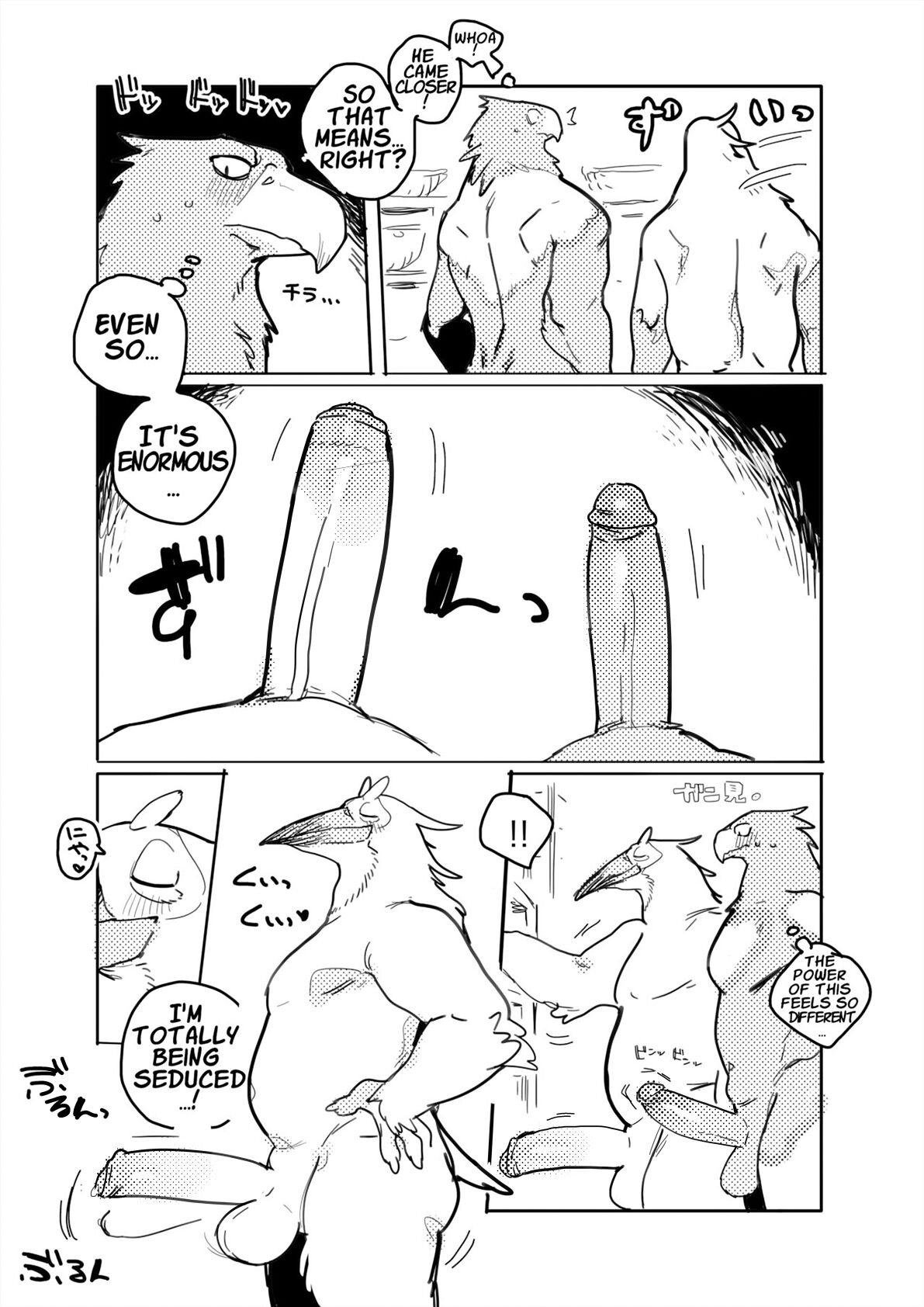 Pelican and White-tailed Eagle page 6 full