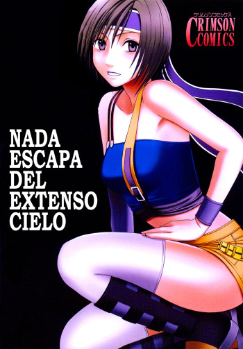 Nada escapa del extenso cielo cover