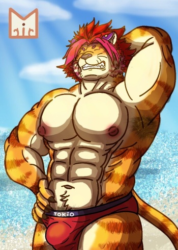 Nomad cover