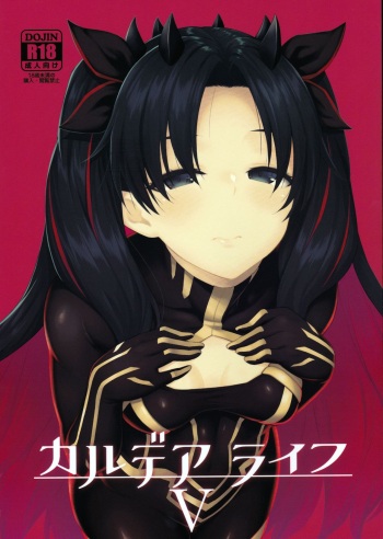 Chaldea Life V cover