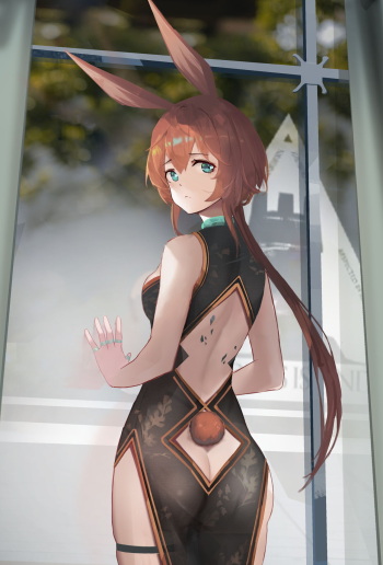 徊川 cover