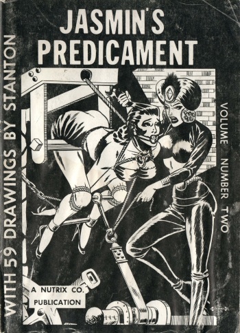 Jasmin's Predicament 2 cover