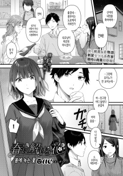 Haru ni Tokeru Hana│봄에 녹는 꽃