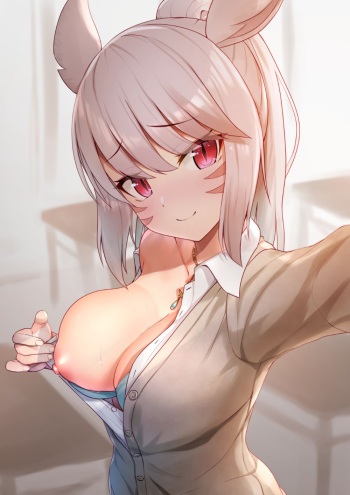 West cover