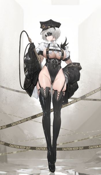 2B Officer cover