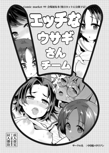 Ecchi na Usagi-san Team cover