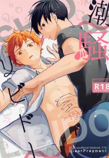 Shiosai Libido cover