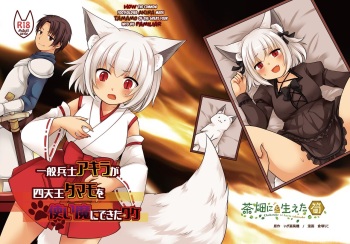 Ippan Heishi Akira ga Shitennou Tamamo wo Tsukaima ni Dekita Wake | How The Common Footsoldier Akira Made Tamamo of the Great Four Into His Familiar cover