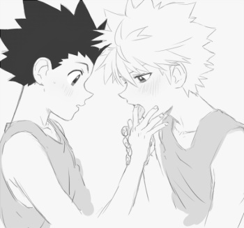 Hunter x Hunter fanart cover