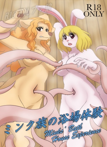 Minks' Bath House Experience cover