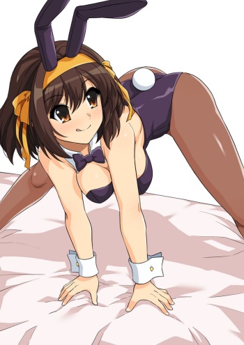 Haruhisky cover