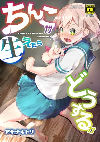 Chinko ga Haetara Dou Suru ka cover