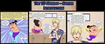 The TG Harem cover