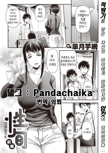 Seishun Zenpen cover