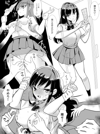 Saku cover