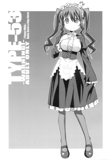 TYPE-53 cover
