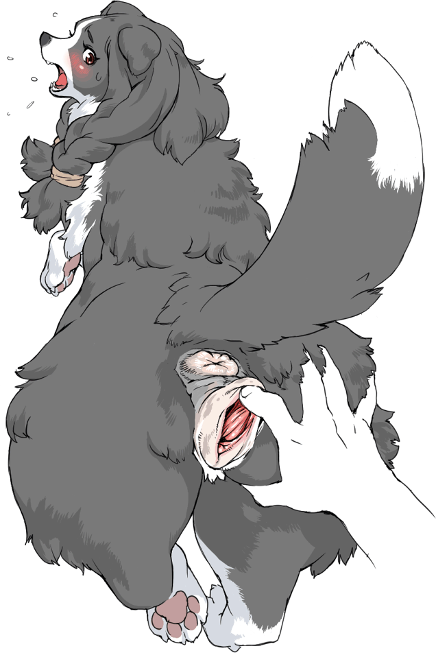 nezumin 's furry/bestiality collection +α page 6 full