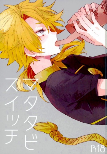 Matatabi Switch cover