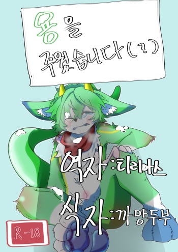 I found a dragon cover
