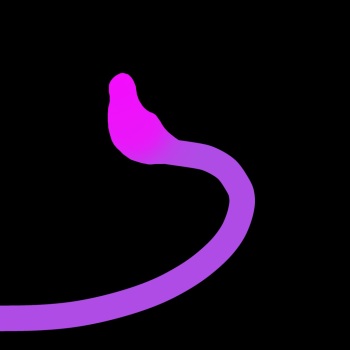 Pink snake cover