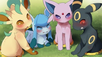 Hoopa-sei Buizu Nama Hole cover