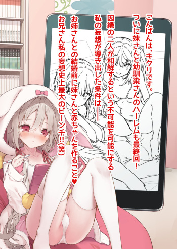 Mousou Shoujo Kikuri-chan # 20 cover