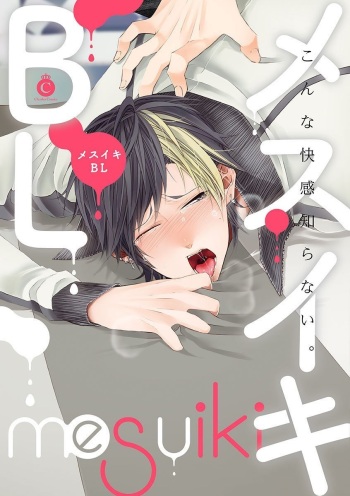 Mesuiki BL cover
