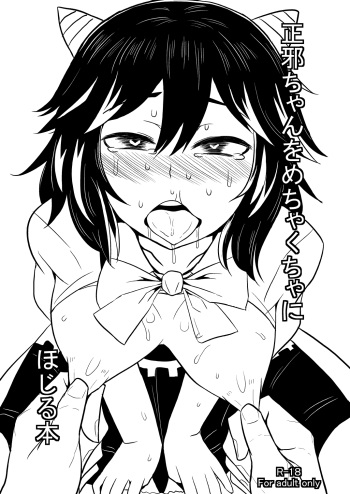 Seija-chan o Mechakucha ni Hojiru Hon cover
