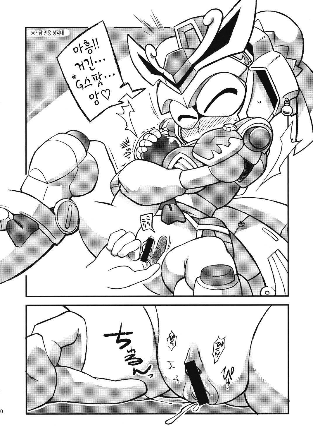 Ore no Fuyu 2010 Oppaisou Sonsyoukou Gerbera | 나의 겨울 2010 진 유장 손상향 가베라 page 10 full
