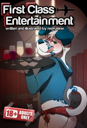 First Class Entertainment  French cover