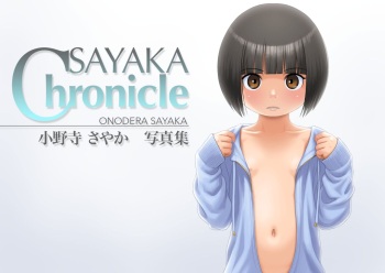 Flatcheez 2 - Sayaka Chronicle cover