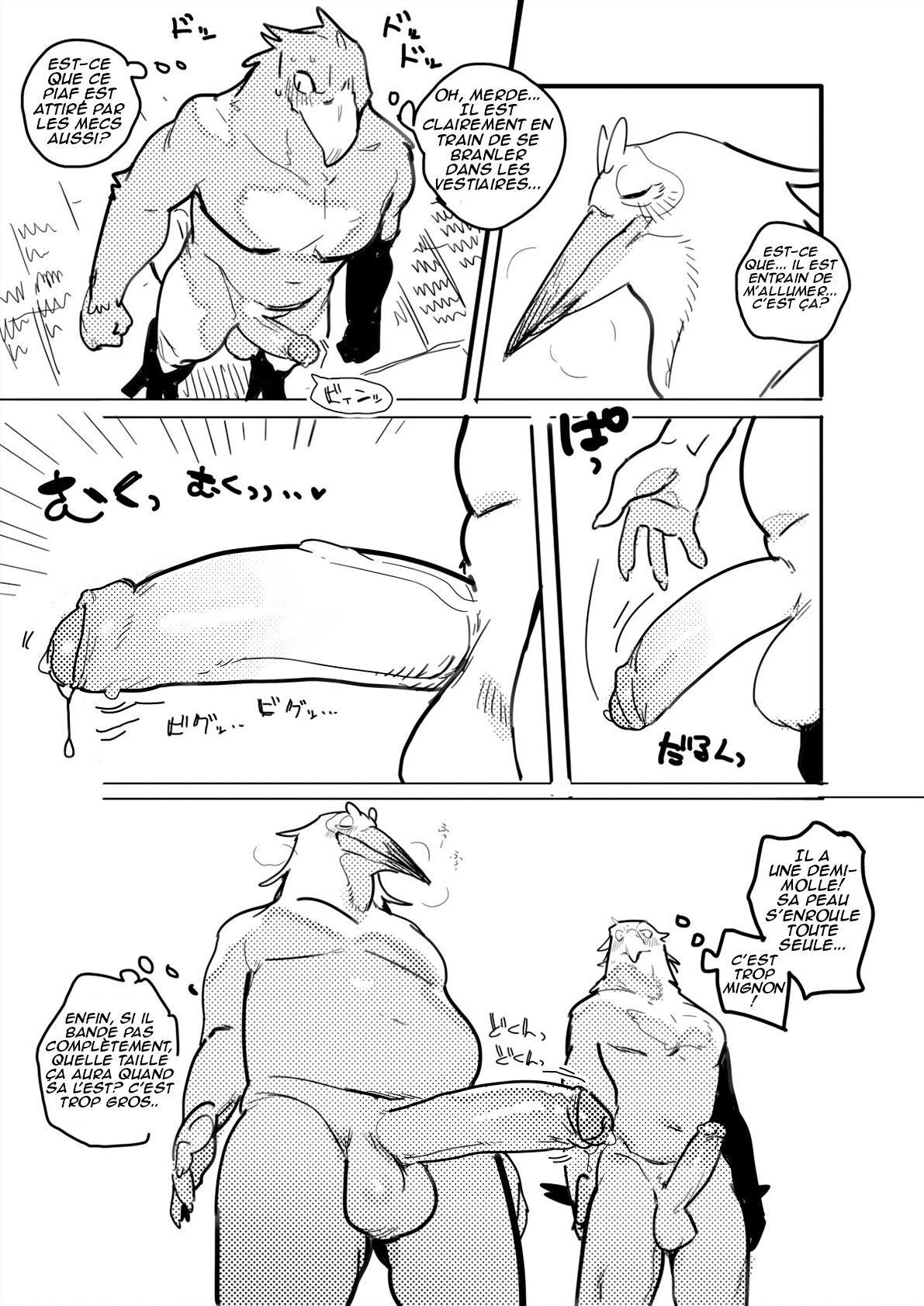 Pelican and White-tailed Eagle page 5 full
