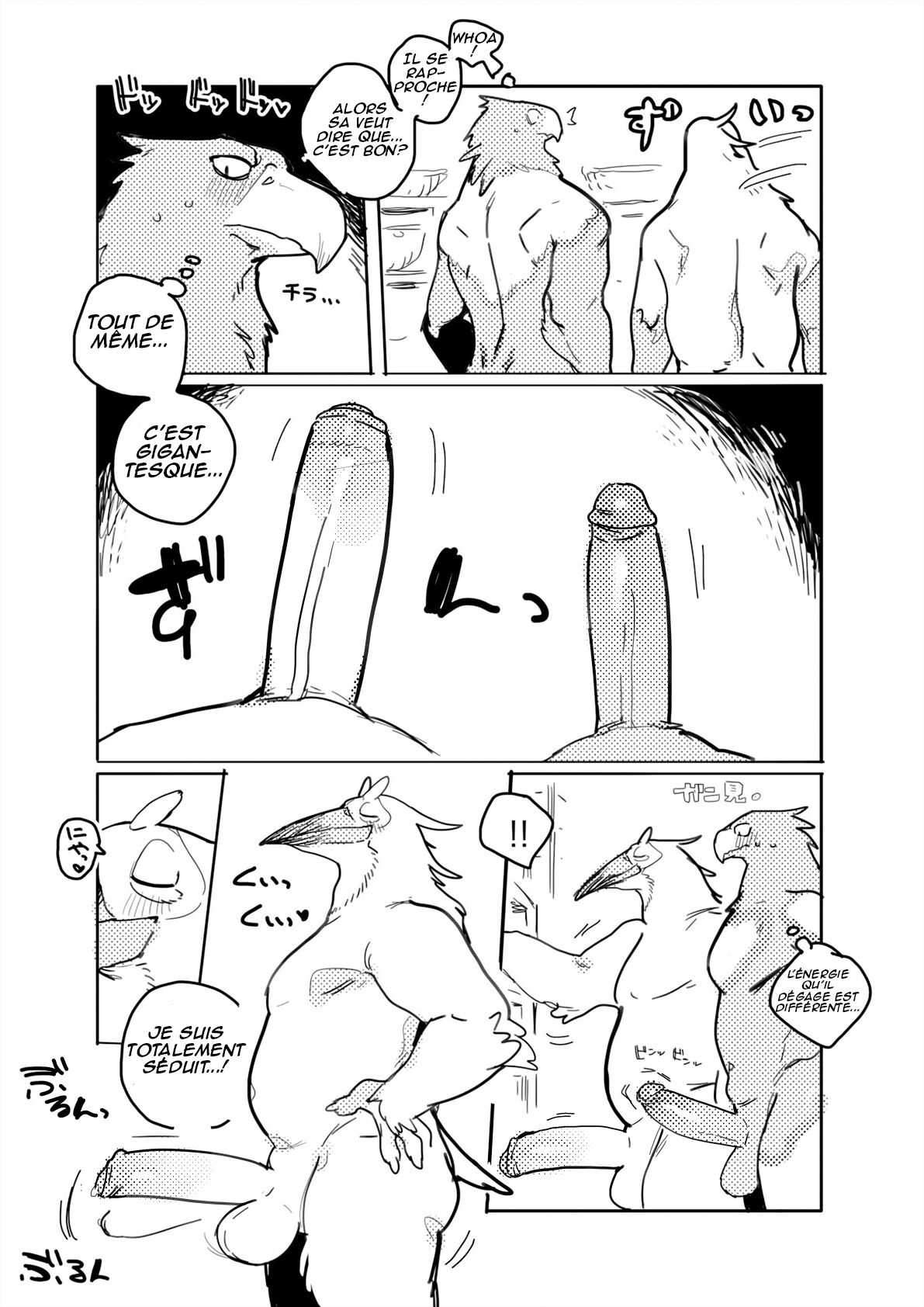Pelican and White-tailed Eagle page 6 full