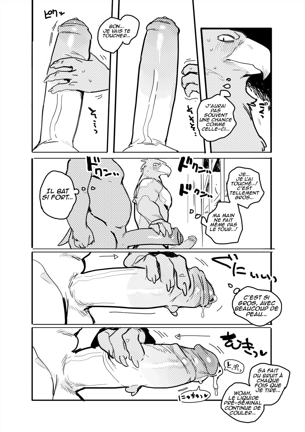 Pelican and White-tailed Eagle page 7 full