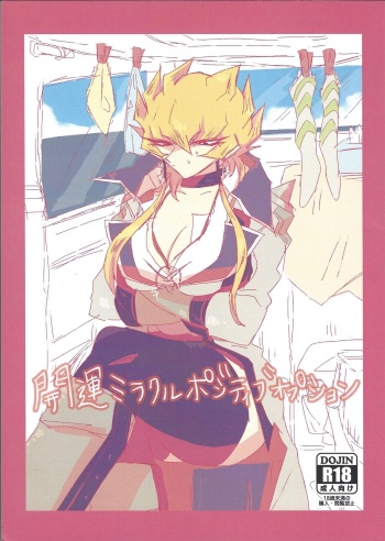 Kaiun Miracle Positive Option cover