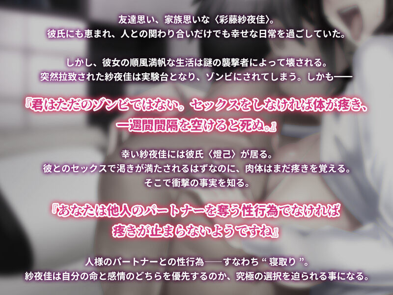 Netori-byou ~Suki de Hametai Wake ja Nai no ni...~ page 3 full