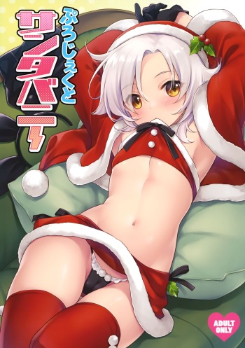 Project Santa Bunny cover
